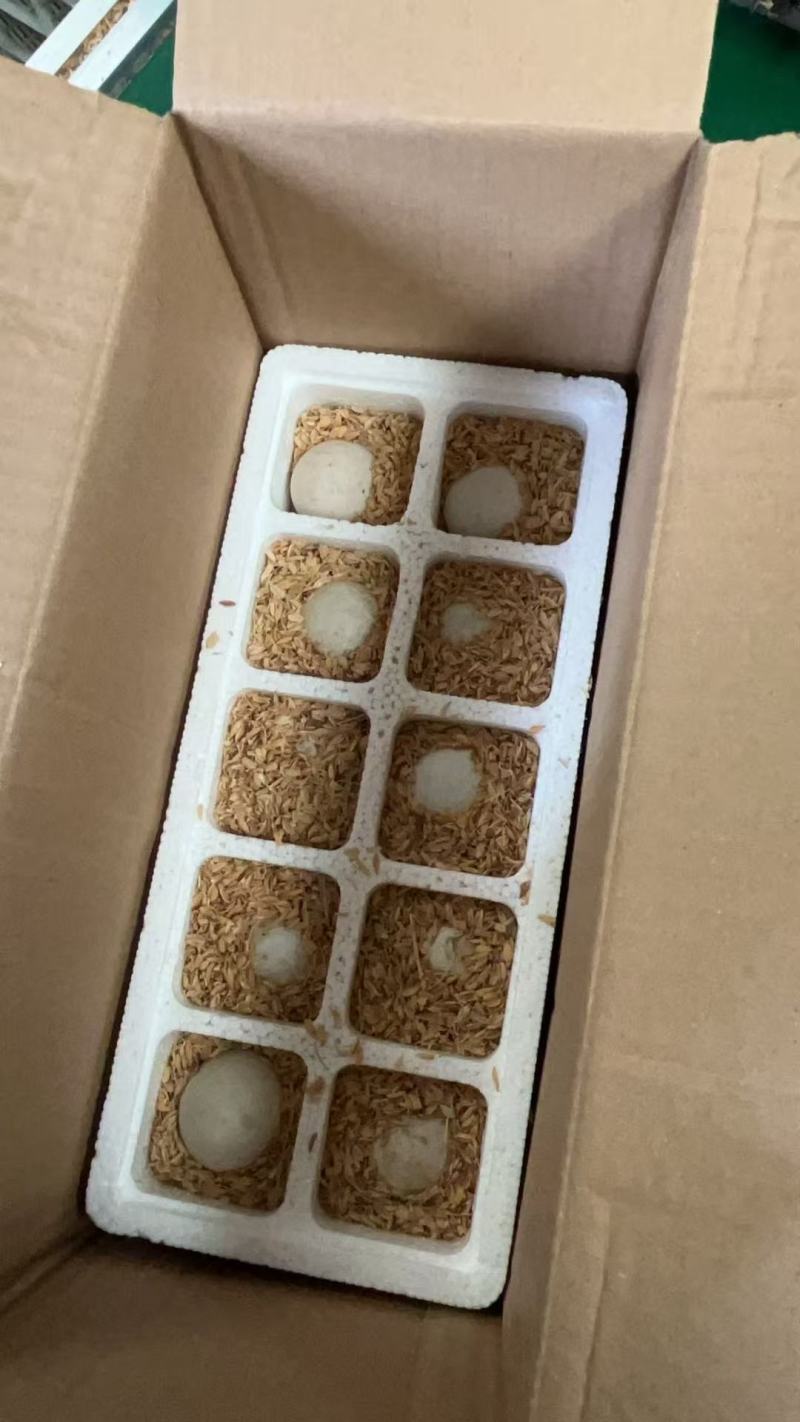 鹅蛋，雁鹅蛋桶装蛋，商品蛋，各种规格，一件代发，诚信经营