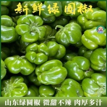 山东圆椒，大量有货，微调不辣的肉厚多汁，欢迎合作