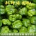 山东圆椒，大量有货，微调不辣的肉厚多汁，欢迎合作