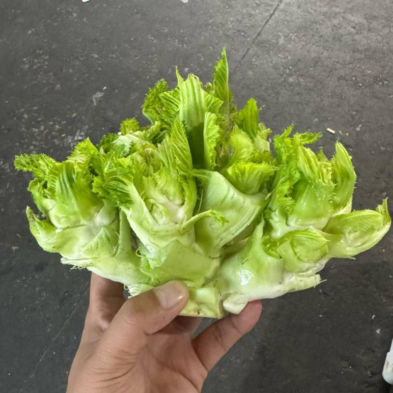贵州精品儿菜