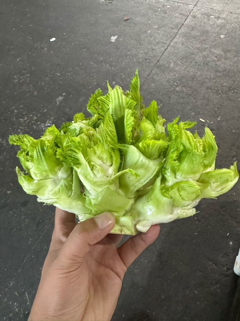 贵州精品儿菜