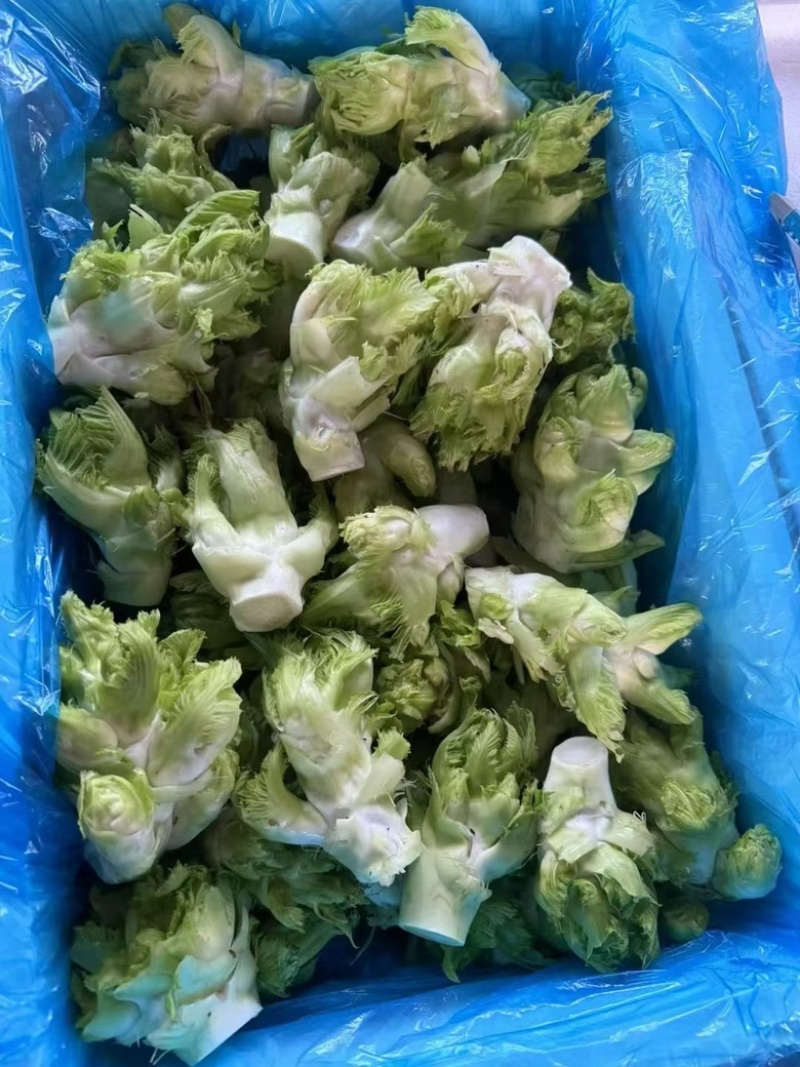 贵州精品儿菜