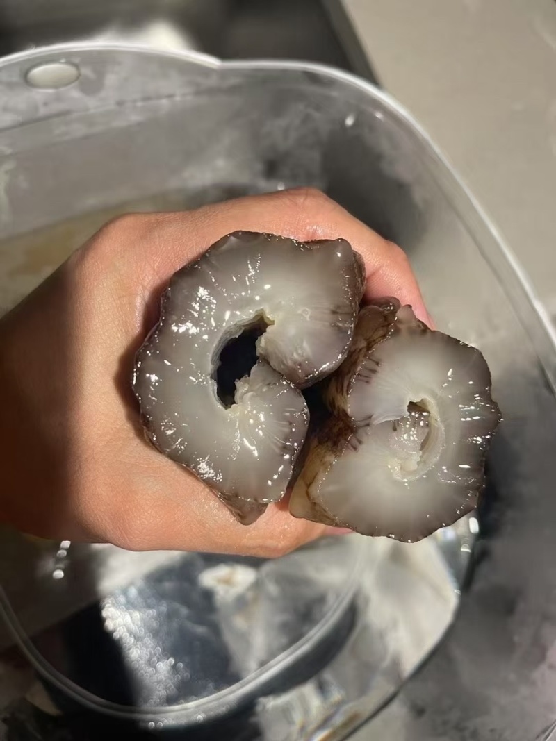 南美参古巴参海参墨西哥刺参肥子海参淡干货肉质肥厚酒店食材