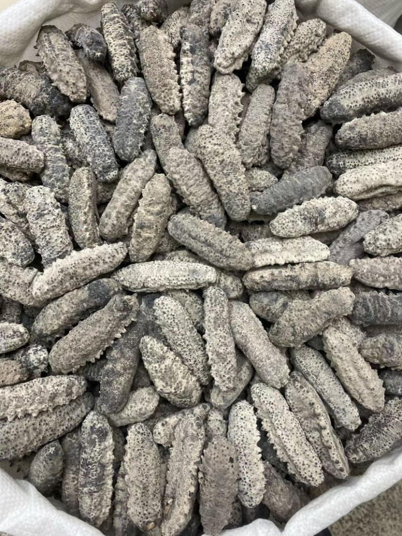 南美参古巴参海参墨西哥刺参肥子海参淡干货肉质肥厚酒店食材