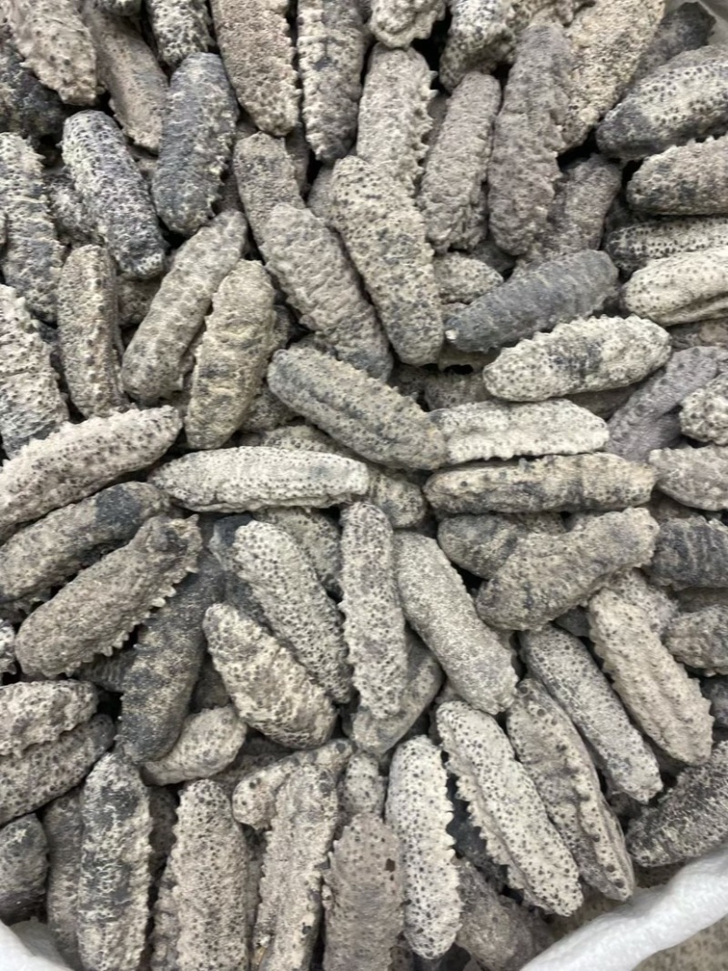 南美参古巴参海参墨西哥刺参肥子海参淡干货肉质肥厚酒店食材