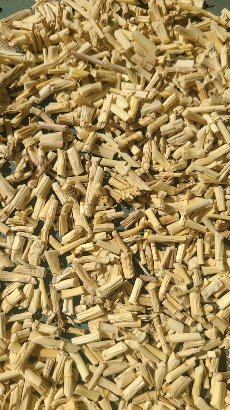 河北白茅根大货，茅根米，茅根段，无硫茅根