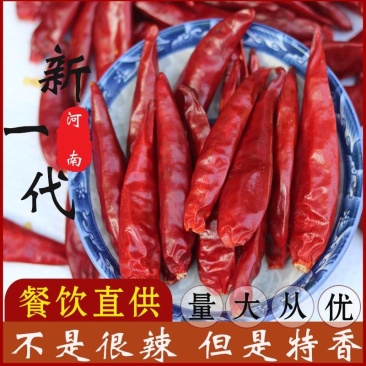 新一代干辣椒微辣特香子弹头原色***火锅店商超酒店食堂