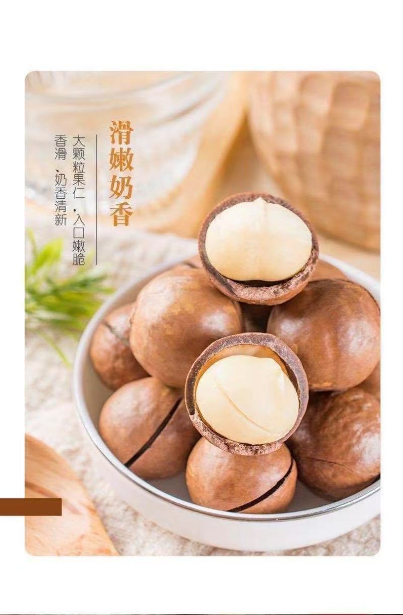 【热卖】夏威夷果2025年当季精品大果商超货源