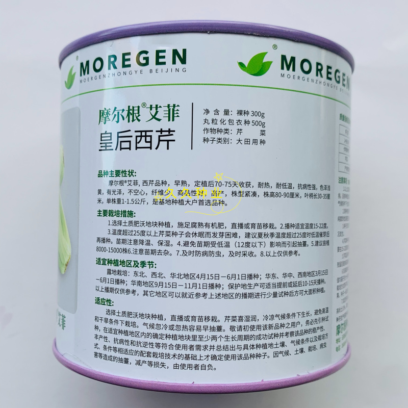 丸粒化西芹种子皇后西芹种籽单粒播种包衣种四季耐热芹菜种子