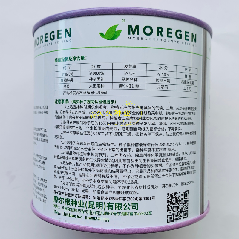丸粒化西芹种子皇后西芹种籽单粒播种包衣种四季耐热芹菜种子