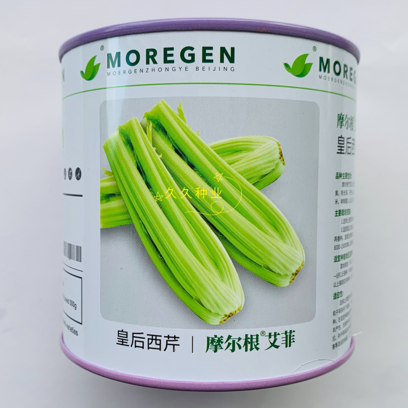 丸粒化西芹种子皇后西芹种籽单粒播种包衣种四季耐热芹菜种子