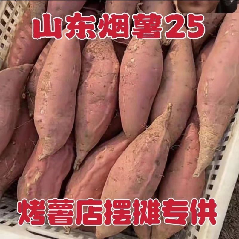 《精选》山东烟薯25/西瓜红/哈密红薯基地直发保质保量