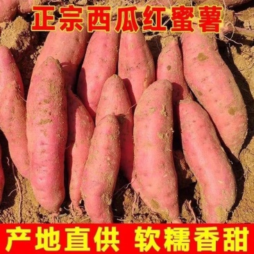 《精选》正宗山东西瓜红红薯/哈密红薯/烟薯25基地直发