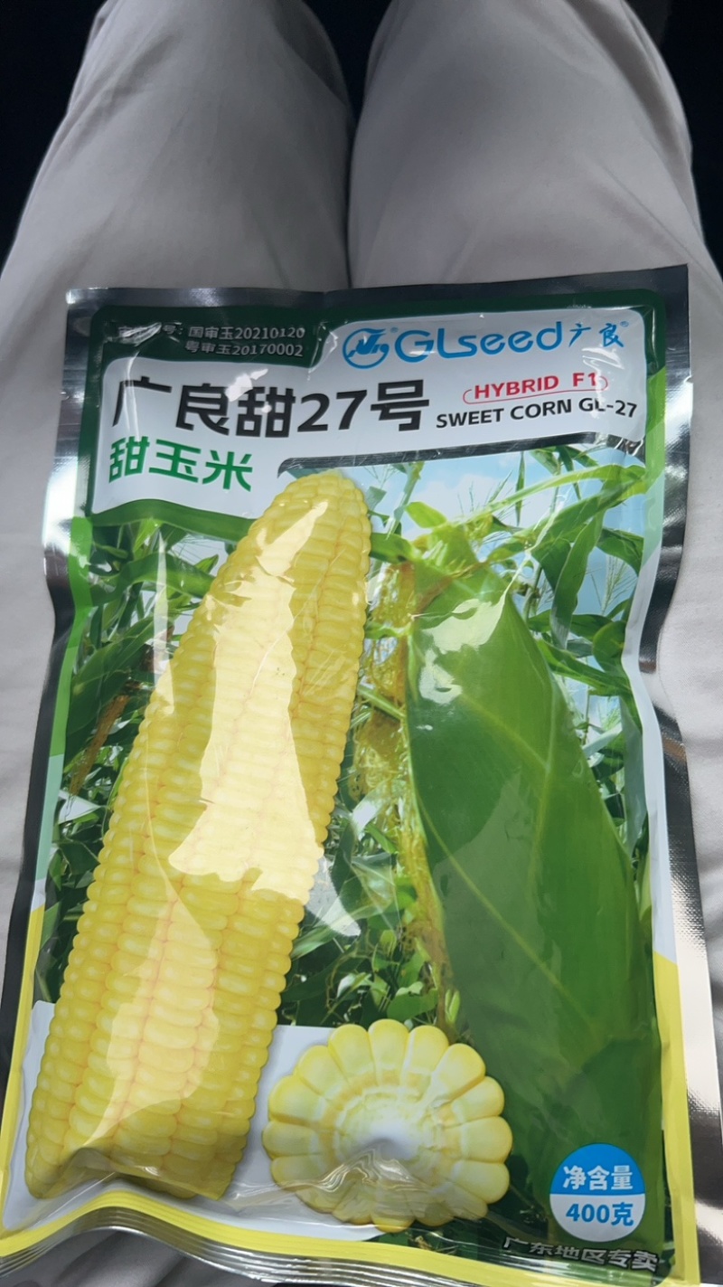泰系太阳花广良甜23江甜033甜玉米产量高品质好，