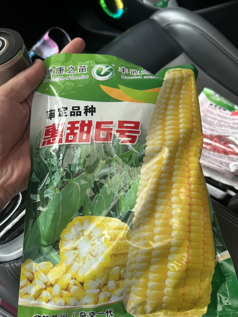 泰系太阳花广良甜23江甜033甜玉米产量高品质好，