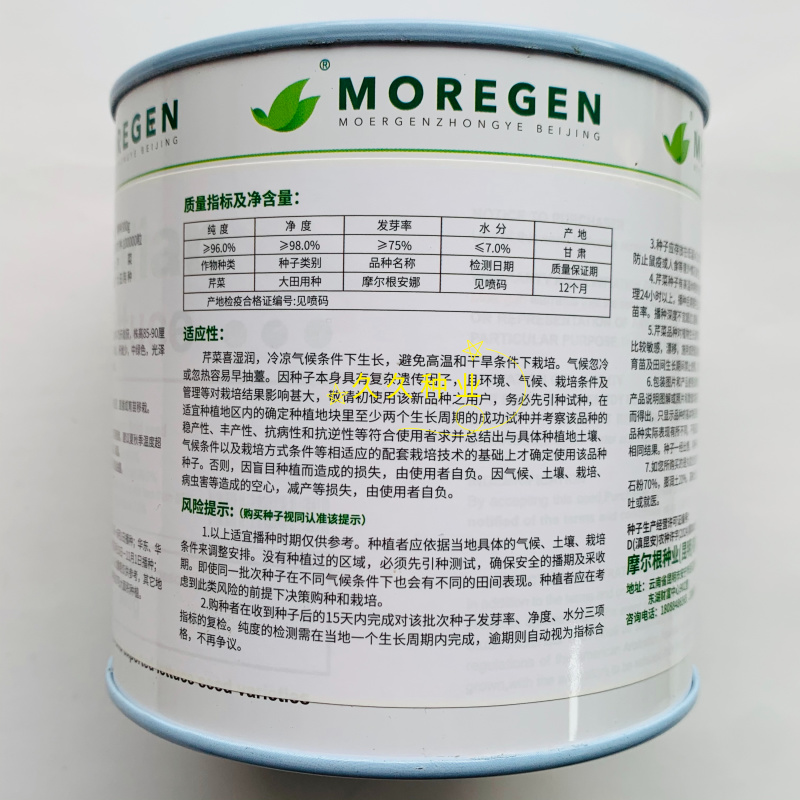 丸粒化西芹种子文图拉西芹单粒播种包衣种四季耐热芹菜