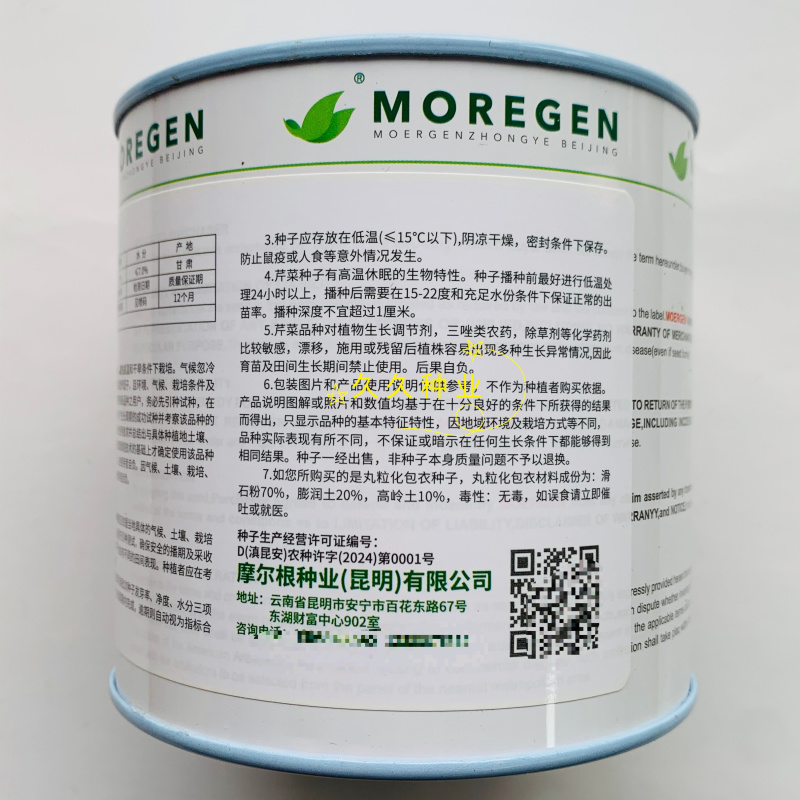 丸粒化西芹种子文图拉西芹单粒播种包衣种四季耐热芹菜