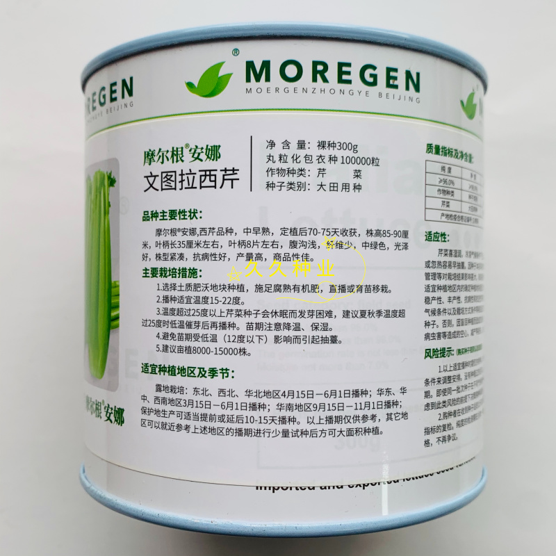 丸粒化西芹种子文图拉西芹单粒播种包衣种四季耐热芹菜