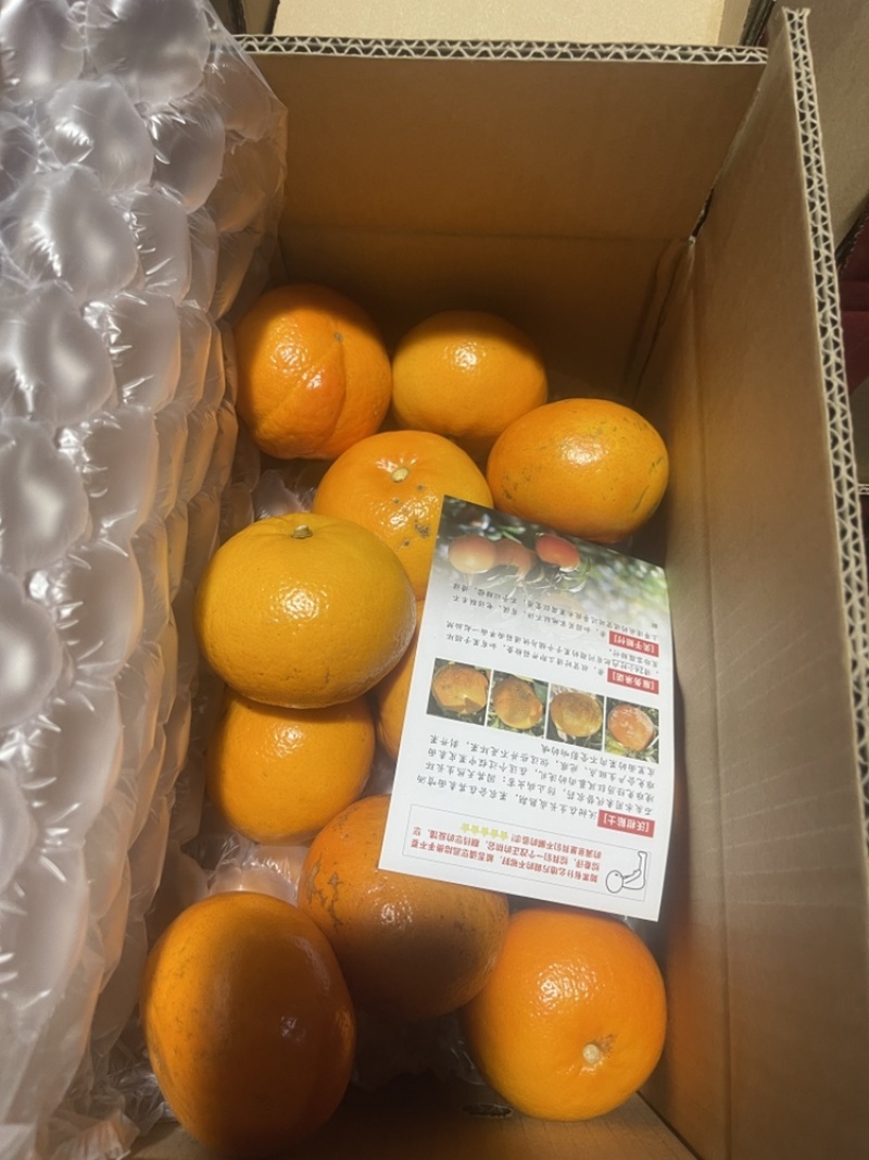 精品沃柑3~9斤一件代发对接各大电商平台抖音快手拼多多