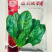 盛美菠菜种子大叶菠菜籽高产小叶耐热耐寒菠菜种籽四季蔬菜种