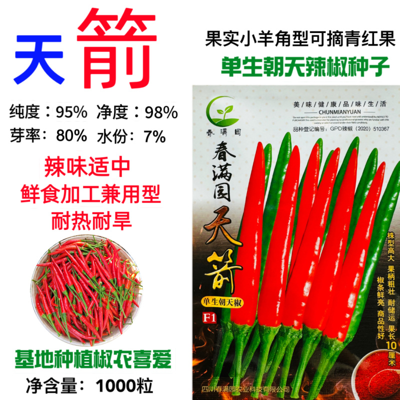 春满园天箭朝天椒种子杂交中熟早生高产抗病口感好基地专用