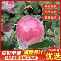 《爱妃苹果》产地直供、大量有货、对接全国、诚信合作