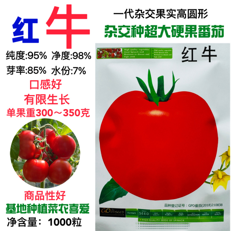 红牛西红柿种子大红果硬果高圆果果实坚硬耐贮运抗病
