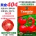 奥金404番茄种子无限生长型粉色西红柿种籽耐寒大果产量