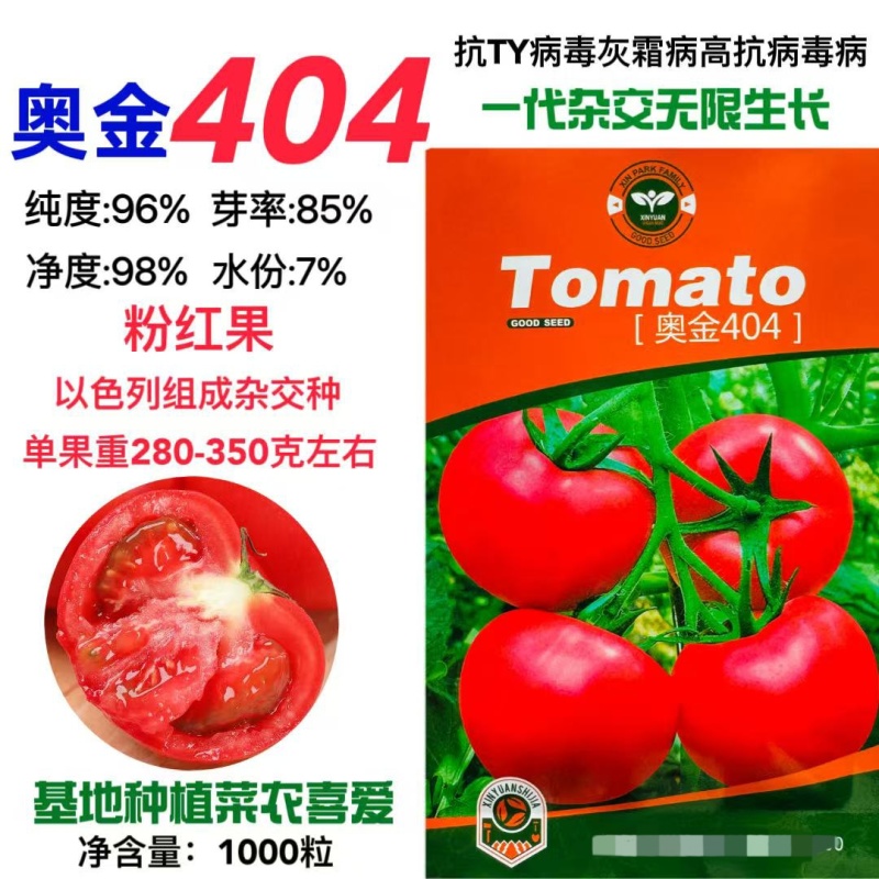 奥金404番茄种子无限生长型粉色西红柿种籽耐寒大果产量