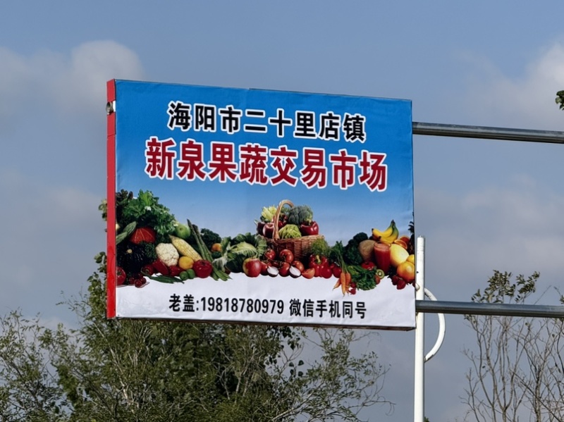 海阳市大球芋头紫杆芋头大花芋头超市批发市场电商零售赶集