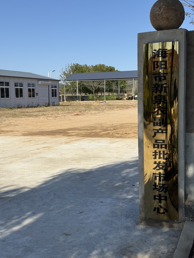 海阳市大球芋头紫杆芋头大花芋头超市批发市场电商零售赶集