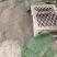 马尼拉草坪果岭草草坪剪股颖草坪电商一件代发