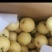 【优皇冠梨一级皇冠梨，精品皇冠梨河北皇冠梨，现在皇冠梨