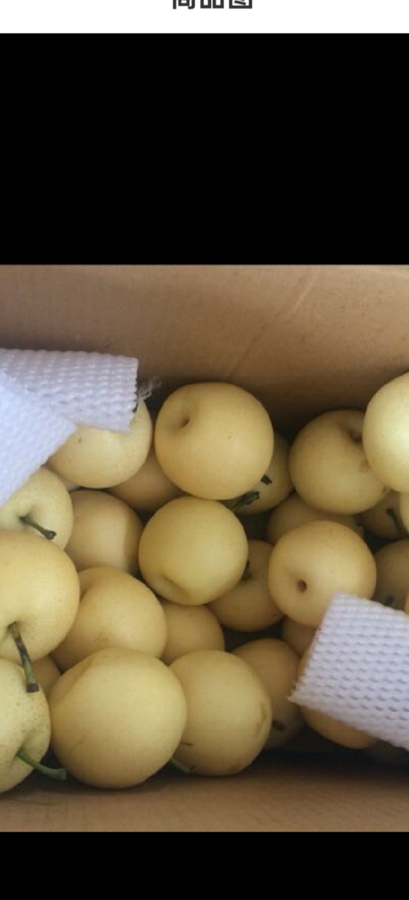【优皇冠梨一级皇冠梨，精品皇冠梨河北皇冠梨，现在皇冠梨