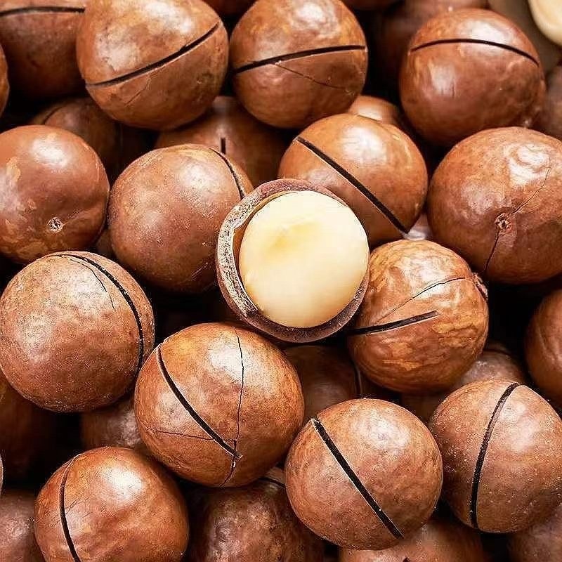 夏威夷果