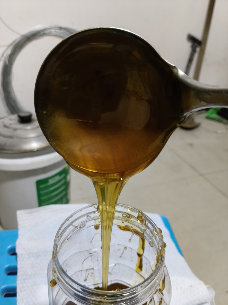 老巢土蜜蜂