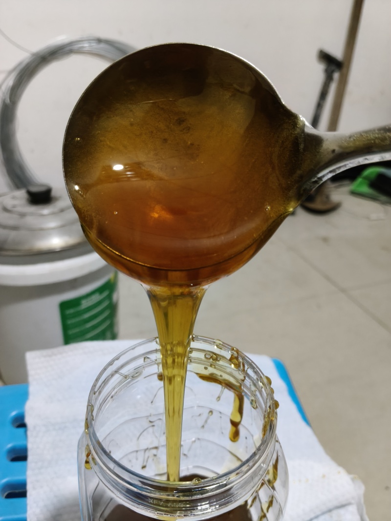 老巢土蜜蜂