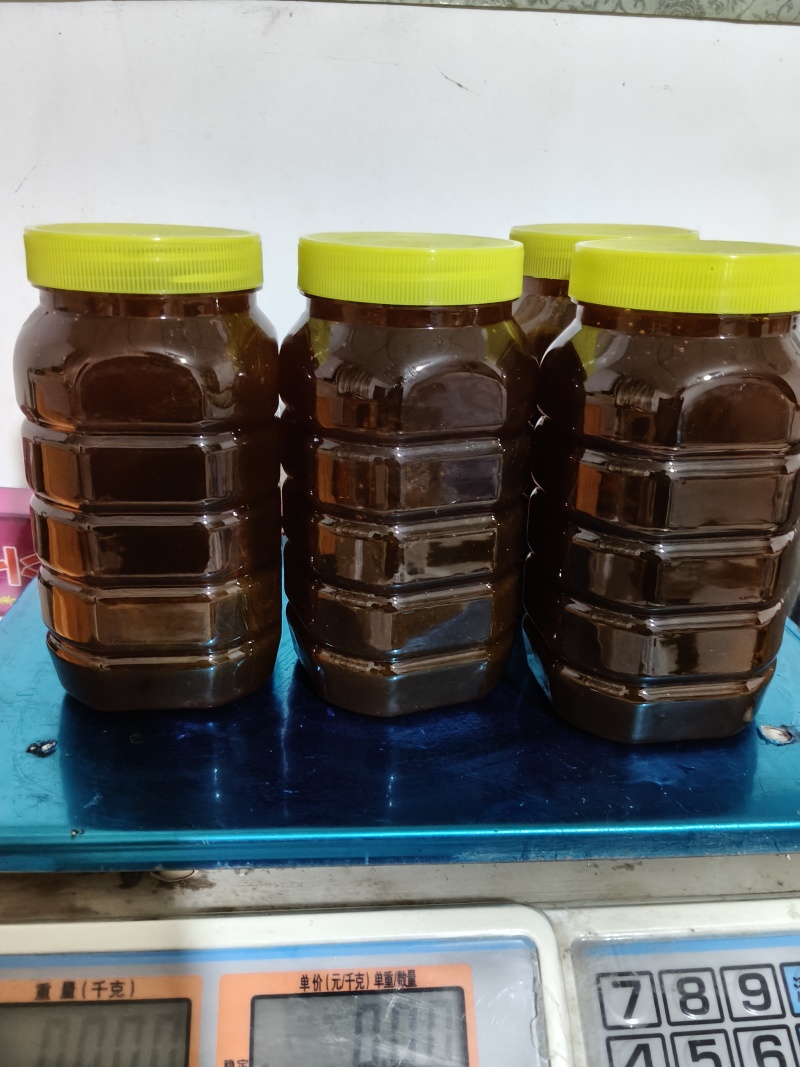 老巢土蜜蜂