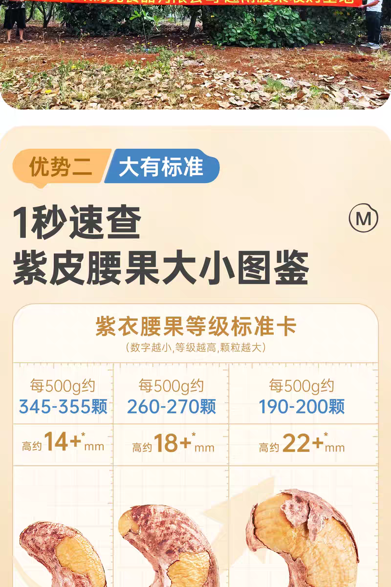 包邮）紫皮大腰果仁熟原味盐焗新货越南特产坚果干果孕妇零食
