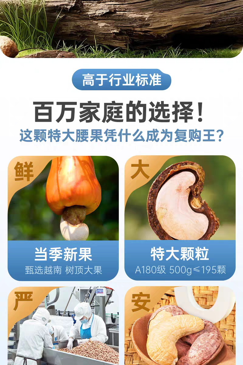 包邮）紫皮大腰果仁熟原味盐焗新货越南特产坚果干果孕妇零食