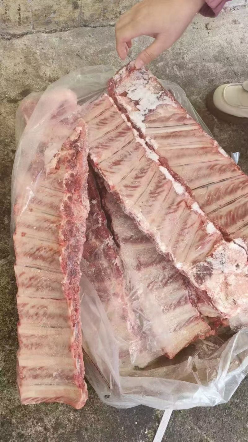 母猪寸排，猪寸排