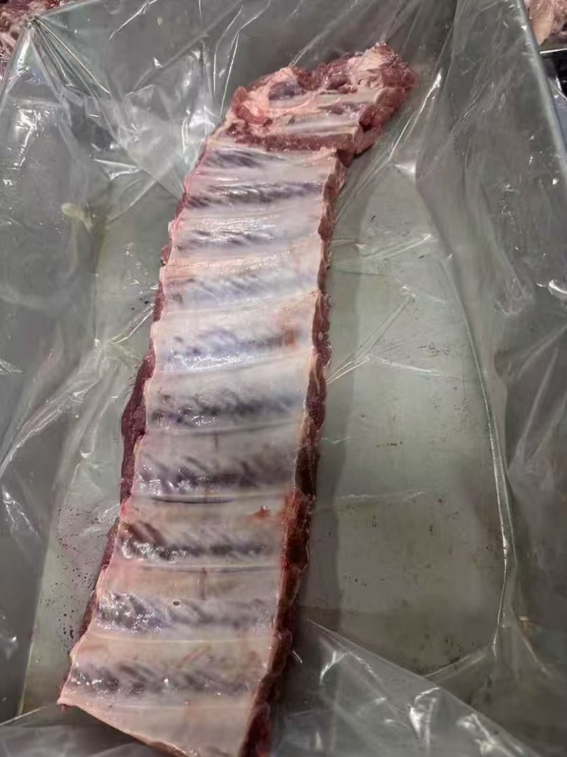 母猪寸排，猪寸排