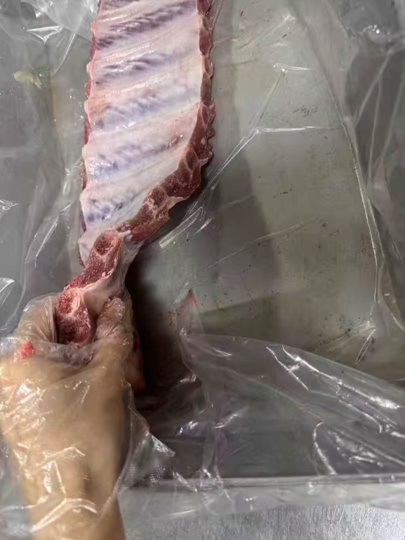 母猪寸排，猪寸排