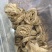 蛇蜕龙衣蛇壳青龙衣蛇皮水洗货干净欢迎咨询