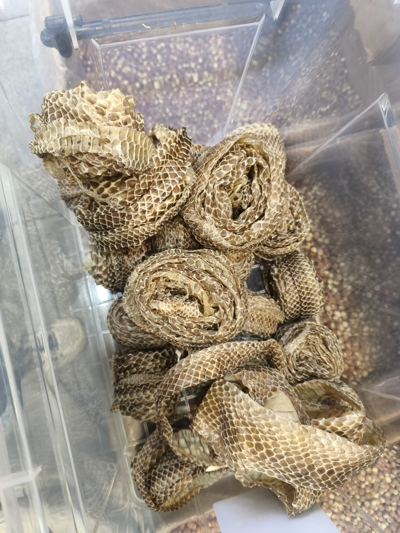 蛇蜕龙衣蛇壳青龙衣蛇皮水洗货干净欢迎咨询