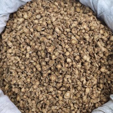 防风新货规格齐全量大从优各种中药材批发