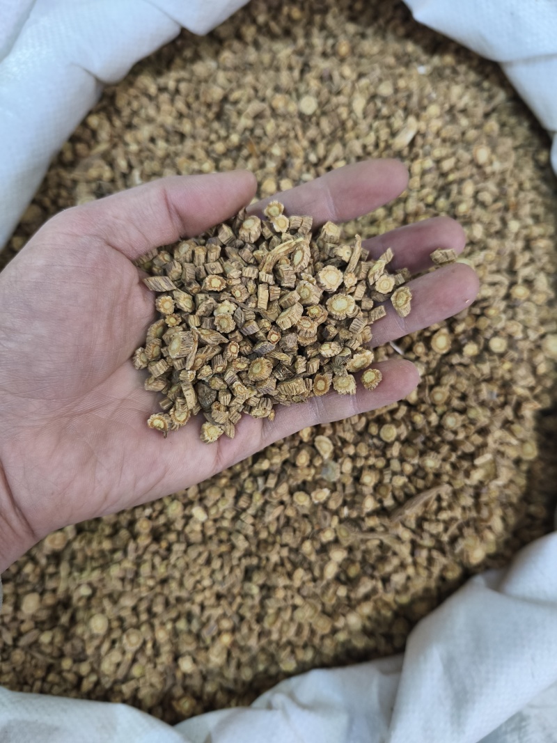 防风新货规格齐全量大从优各种中药材批发
