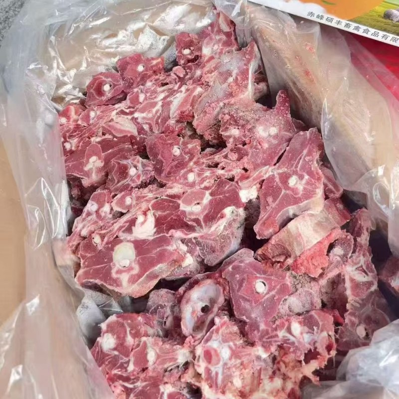 内蒙满肉羊蝎子