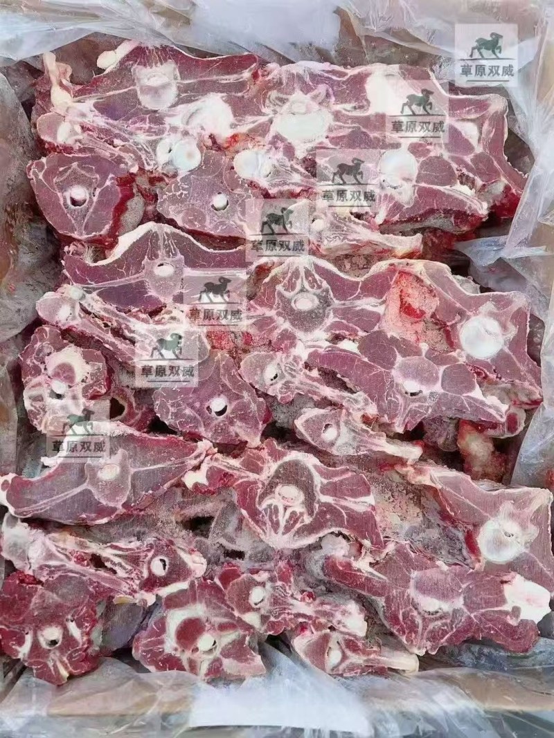 内蒙满肉羊蝎子