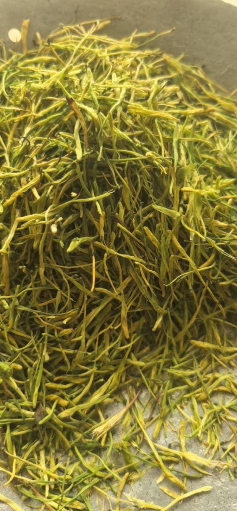 山银花山二花青花茶花颜色青《聚源药业》